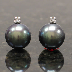 1001906-14k-White-Gold-AAA-10.5-11mm-Black-Pearl-Diamond-Stud-Earrings