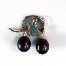 Load image into Gallery viewer, 1002021-14k-Rose-Gold-Black-Freshwater-Pearl-Leverback-Earrings