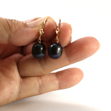 Load image into Gallery viewer, 1003021-14k-Gold-Leverback-Black-Pearl-Dangle-Earrings