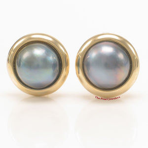 1088001-14k-Yellow-Gold-Omega-Clip-Gold-Border-Blue-Mabe-Pearl-Earrings