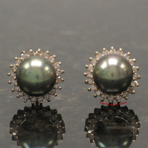 1089991-14k-Yellow-Gold-Diamond-AAA-Black-Cultured-Pearl-Stud-Earrings