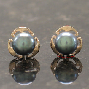 1099701-14k-Yellow-Gold-Encircle-Genuine-Black-Cultured-Pearl-Stud-Earrings