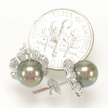 Load image into Gallery viewer, 1099976-14k-White-Gold-Diamond-AAA-Black-Cultured-Pearl-Stud-Earrings
