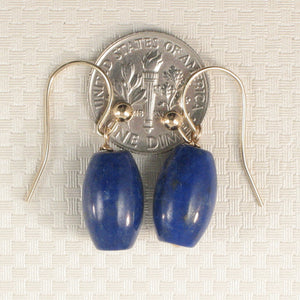 1301040-Natural-Gemstone-Blue-Lapis-14k-Yellow-Gold-Fish-Hook-Earrings