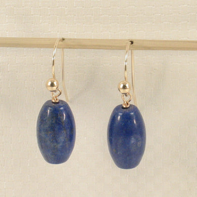 1301040-Natural-Gemstone-Blue-Lapis-14k-Yellow-Gold-Fish-Hook-Earrings