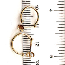 Load image into Gallery viewer, 1400130-14kt-Yellow-Gold-Hook-Earrings
