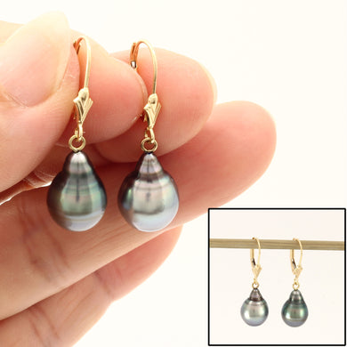 1T00023C-Natural-Black-Tahitian-Pearl-14k-Gold-Leverblack-Dangle-Earrings