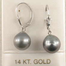 Load image into Gallery viewer, 1T00025-Simple-Beautiful-Black-Tahitian-Pearl-14k-White-Gold-Leverblack-Earrings