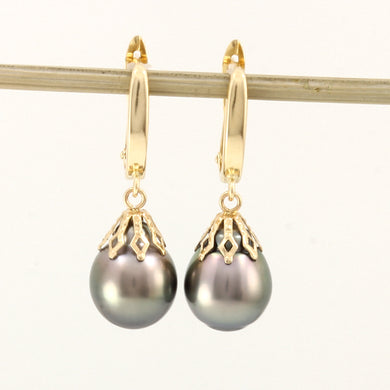 1T00041B-Yellow-Gold-Euro-Back-Genuine-Tahitian-Black-Pearl-Dangle-Earrings