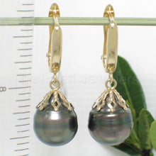 Load image into Gallery viewer, 1T00042-Black-Tahitian-Pearl-14k-Solid-Gold-Flowers-Cap-Dangle-Earrings