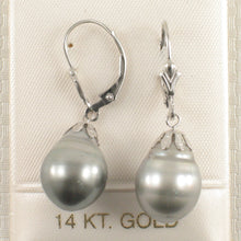 Load image into Gallery viewer, 1T00125-14k-Solid-Gold-Leverblack-Silver-Tone-Tahitian-Pearl-Dangle-Earrings