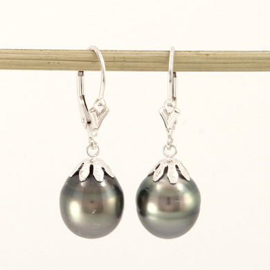 1T00129E-14k-White-Solid-Gold-Leverback-Black-Tahitian-Pearl-Dangle-Earrings