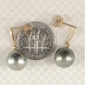 1T00562A-14k-Gold-Diamonds-Silver-Tone-Tahitian-Pearl-Dangle-Earrings