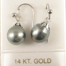 Load image into Gallery viewer, 1T00635B-Tahitian-Pearl-14k-White-Gold-Fish-Hook-Dangle-Earrings
