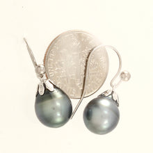 Load image into Gallery viewer, 1T00636B-Tahitian-Pearl-14k-White-Gold-Fish-Hook-Dangle-Earrings