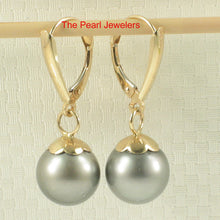 Load image into Gallery viewer, 1T00932-14k-Euro-Back-Shield-Design-Black-Tahitian-Pearl-Earrings
