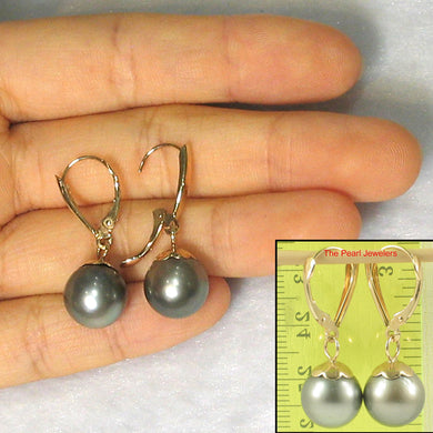 Shield Cap Black Tahitian Pearl Earrings – 14k Yellow Gold Euro Back
