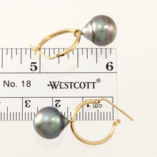 Load image into Gallery viewer, 1T01400-14k-Gold-Hoop-Black-Tahitian-Pearl-Dangle-Earrings