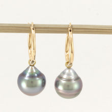 Load image into Gallery viewer, 1T01400-14k-Gold-Hoop-Black-Tahitian-Pearl-Dangle-Earrings