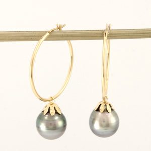 1T01590B-Tahitian-Pearl-Drop-Earrings-Metal-Loop-14kt-Solid-Yellow-Gold