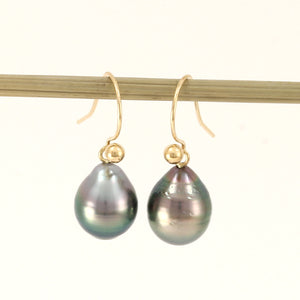 1T02630-14kt-Gold-Fish-Hook-Simple-Charming-Black-Tahitian-Pearls-Earrings