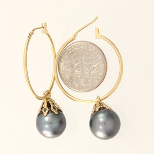 1T03591B-14k-Yellow-Gold-Hoop-Black-Tahitian-Pearl-Dangle-Earrings