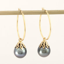 Load image into Gallery viewer, 1T03591B-14k-Yellow-Gold-Hoop-Black-Tahitian-Pearl-Dangle-Earrings