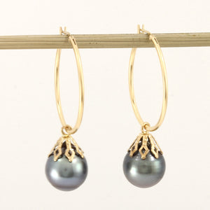 1T03591B-14k-Yellow-Gold-Hoop-Black-Tahitian-Pearl-Dangle-Earrings