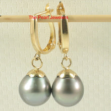 Load image into Gallery viewer, 1T05742A-14k-Gold-Euro-Back-Caps-Black-Tahitian-Pearl-Dangle-Earrings