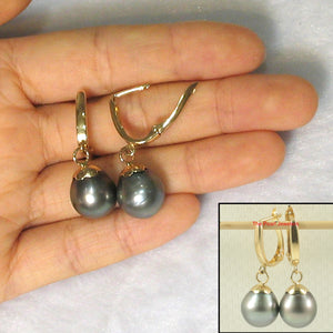 1T05742A-14k-Gold-Euro-Back-Caps-Black-Tahitian-Pearl-Dangle-Earrings