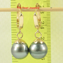 Load image into Gallery viewer, 1T05742B-14k-Euro-Back-Caps-Black-Tahitian-Pearl-Dangle-Earrings