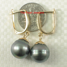 Load image into Gallery viewer, 1T05742B-14k-Euro-Back-Caps-Black-Tahitian-Pearl-Dangle-Earrings