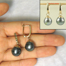 Load image into Gallery viewer, 1T05742B-14k-Euro-Back-Caps-Black-Tahitian-Pearl-Dangle-Earrings