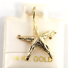 Load image into Gallery viewer, 2400072-Beautiful-Love-14k-Gold-Star-Fish-Pendant