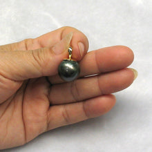 Load image into Gallery viewer, 2T00222B-Genuine-Black-Tahitian-Pearl-14k-Yellow-Gold-Cap-Pendant