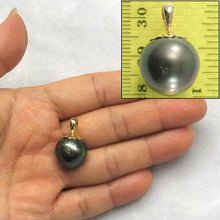 Load image into Gallery viewer, 2T00222B-Genuine-Black-Tahitian-Pearl-14k-Yellow-Gold-Cap-Pendant