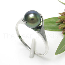 Load image into Gallery viewer, 3000086-14k-White-Gold-AAA-Round-Black-Cultured-Pearl-Solitaire-Ring