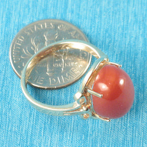 3201031-A-Gorgeous-Oval-Genuine-Natural-Red-Coral-14K-Solid-Gold-Ornate-Ring