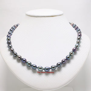 620401A35-7-8mm-Black-Cultured-Pearl-Necklace-with-14kt-White-Gold