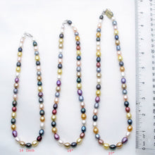 Load image into Gallery viewer, 629347-84-Multi-Color-Rice-Freshwater-Pearls-Necklace