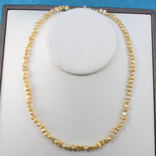Load image into Gallery viewer, 643625G26-Golden-Small-Baroque-Pearl-Simple-Style-Necklace