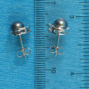 9109891-Sterling-Silver-Rhodium-Plated-Black-Genuine-F/W-Pearl-Stud-Earrings
