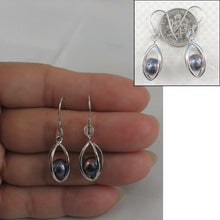 Load image into Gallery viewer, 9109941-Sterling-Silver-Lucky-Lantern-Black-Cultured-Pearl-Hook-Earrings