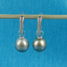 Load image into Gallery viewer, 91T0721B-Tahitian-Pearl-Solid-Silver-.925-Euro-Back-Dangle-Earrings