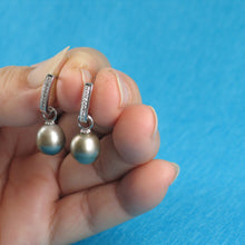 Load image into Gallery viewer, 91T0721B-Tahitian-Pearl-Solid-Silver-.925-Euro-Back-Dangle-Earrings