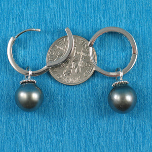 91T0741B-Genuine-Black-Gray-Tahitian-Pearl-Solid-Sterling-Silver-C-Hoop-Earrings